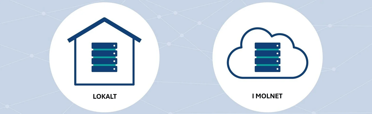 Picture1-Mar-11-2025-06-22-32-0481-AM